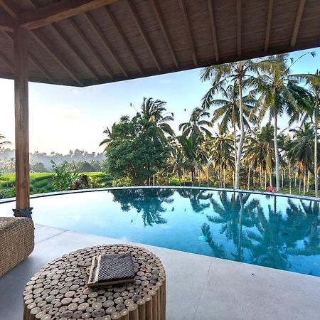 Puri Dajuma Terrace Eco Lodge & Spa Selemadeg  Εξωτερικό φωτογραφία