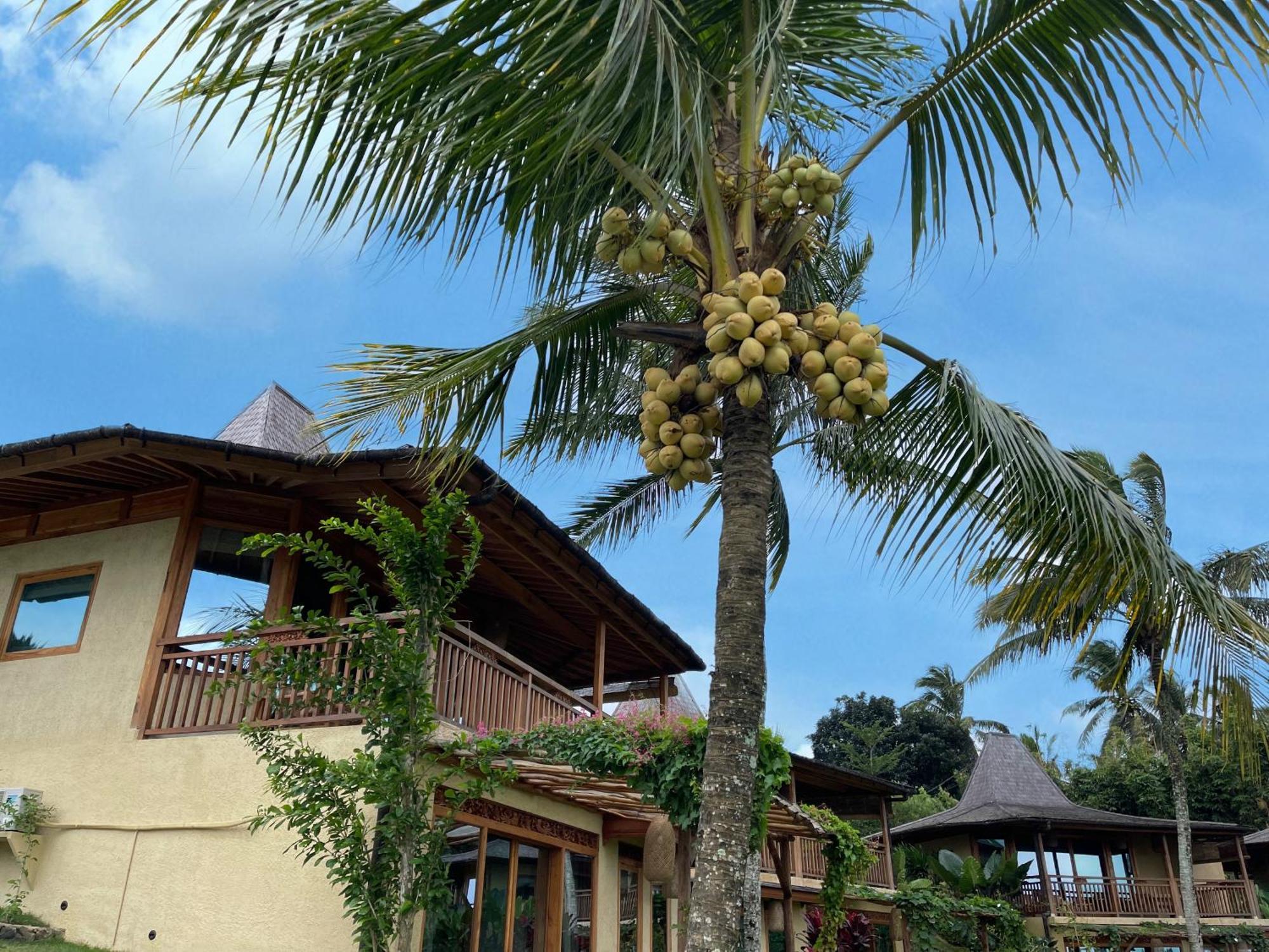 Puri Dajuma Terrace Eco Lodge & Spa Selemadeg  Εξωτερικό φωτογραφία