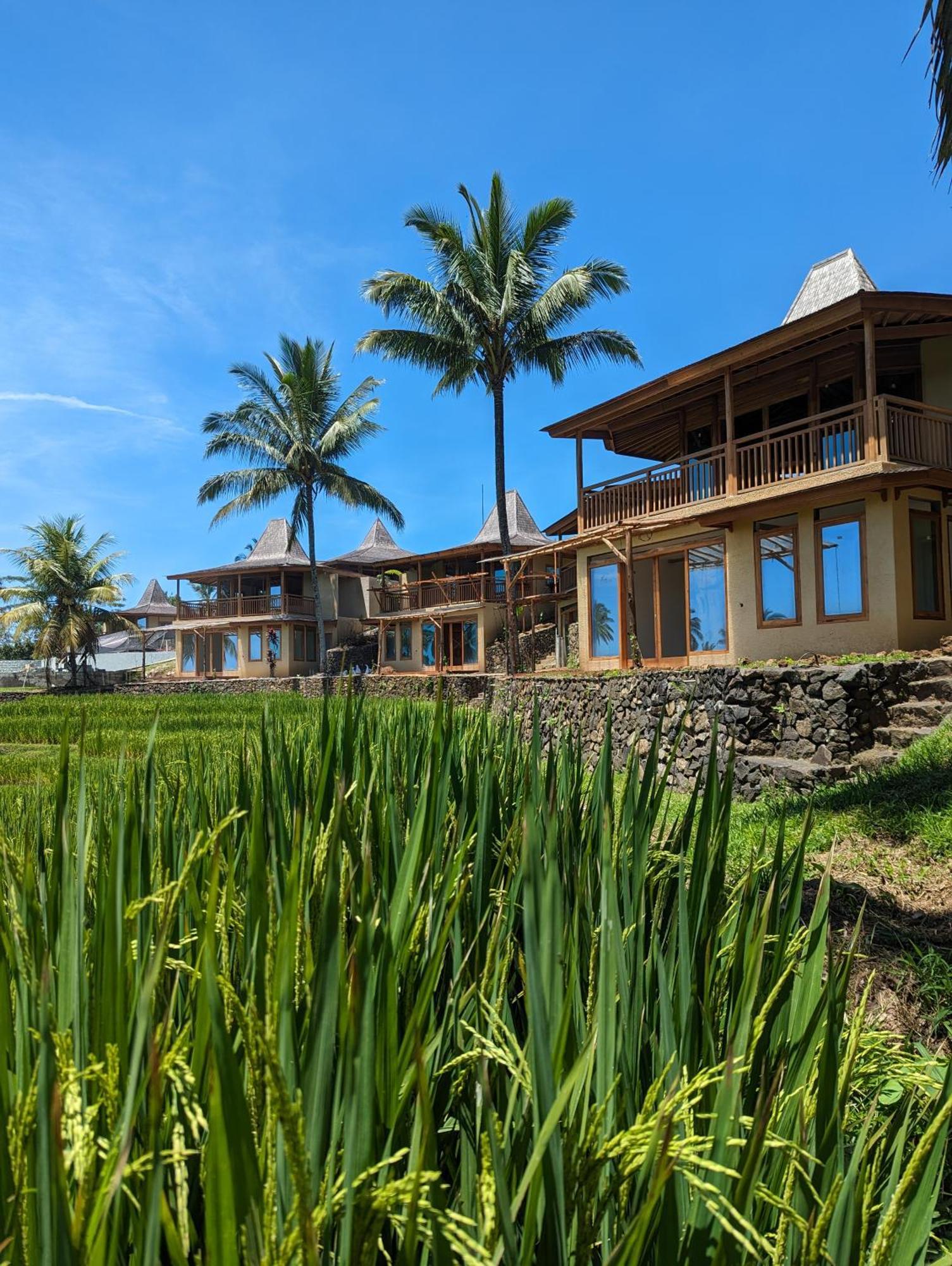 Puri Dajuma Terrace Eco Lodge & Spa Selemadeg  Εξωτερικό φωτογραφία