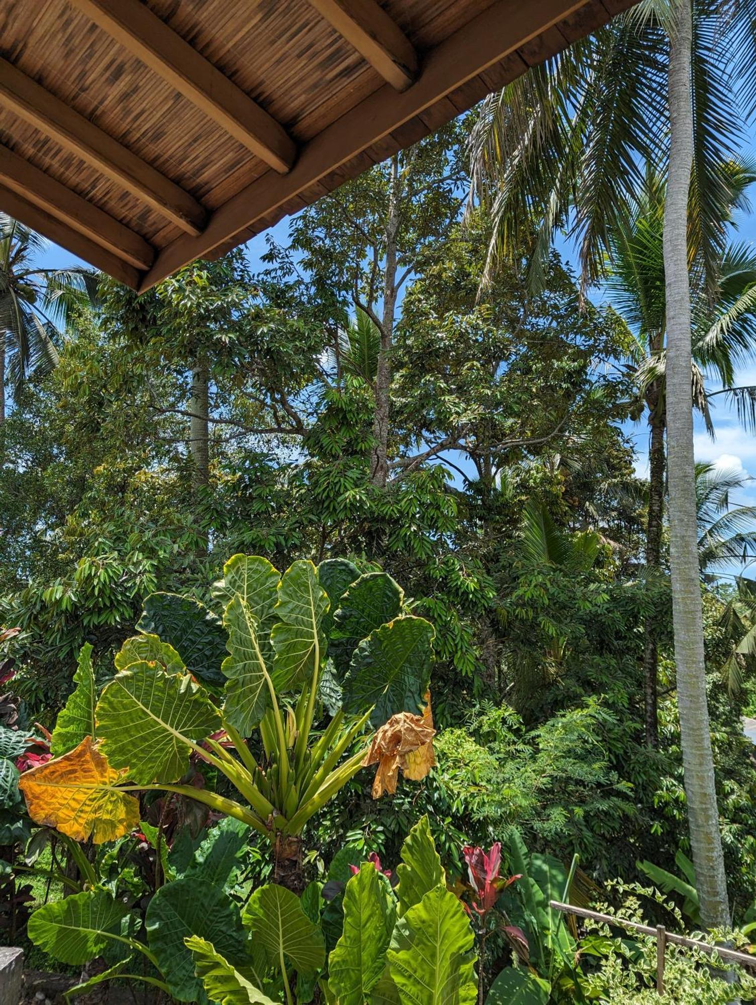 Puri Dajuma Terrace Eco Lodge & Spa Selemadeg  Εξωτερικό φωτογραφία