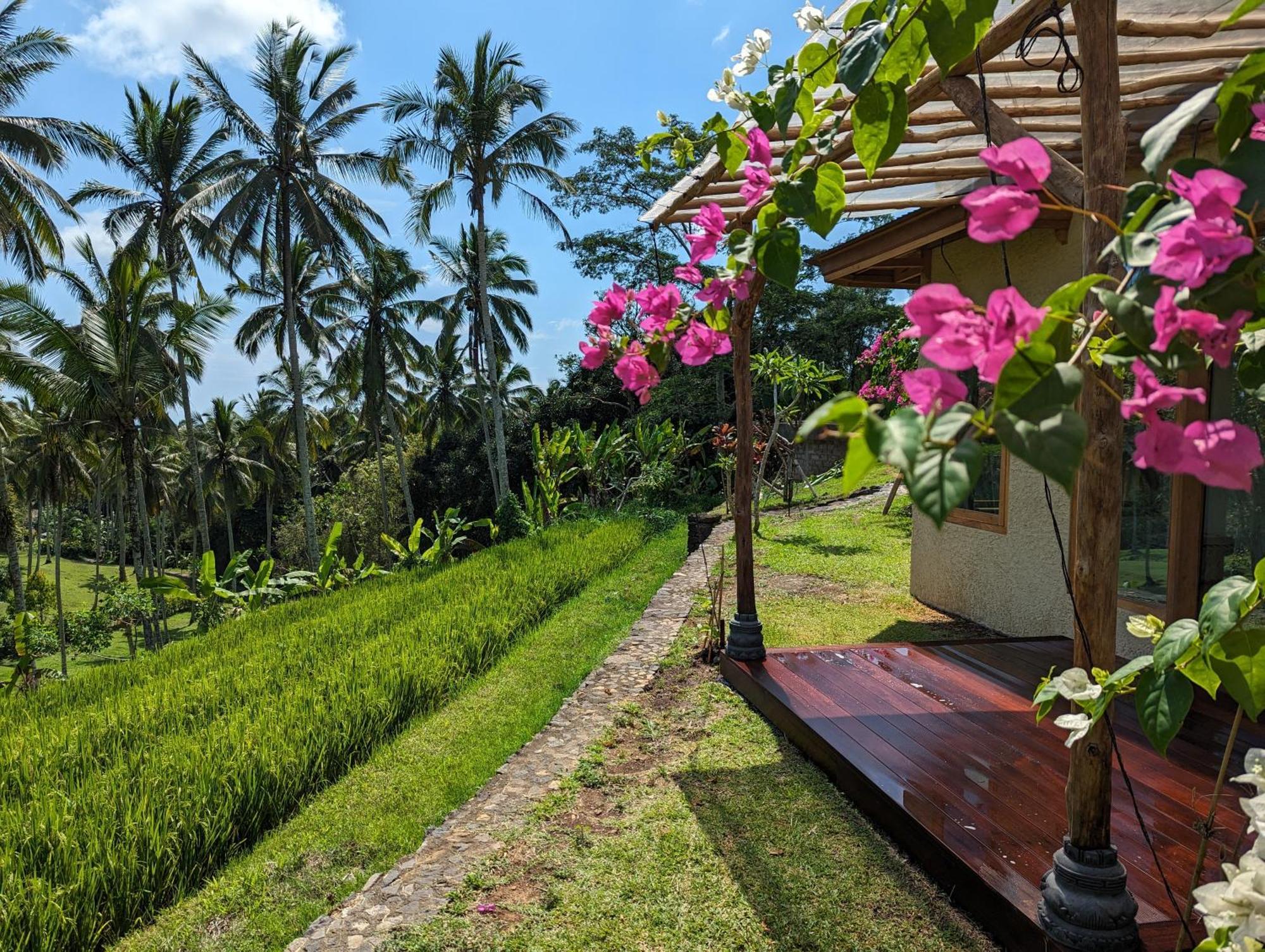 Puri Dajuma Terrace Eco Lodge & Spa Selemadeg  Εξωτερικό φωτογραφία
